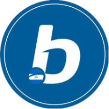 betcris favicon